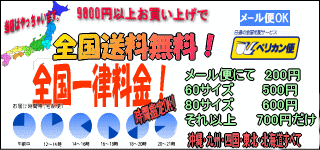 ¾Ź����٤Ʋ���������������