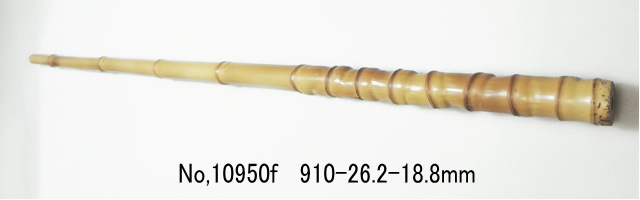 10950f.jpg