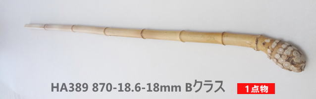 淡竹根付き釣竿製作用・和竿手元素材｜中細から中サイズ万能タイプ(2)