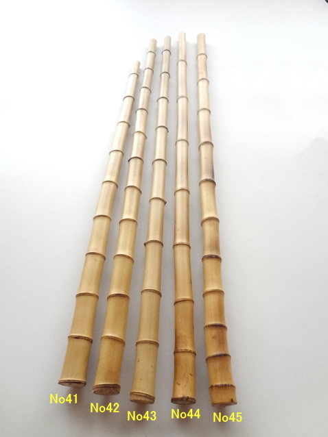 淡竹N41-45