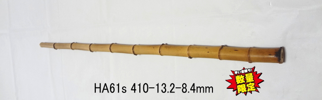 小節淡竹ha61s.jpg