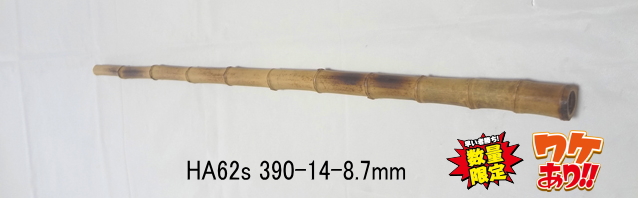 小節淡竹ha62s.jpg