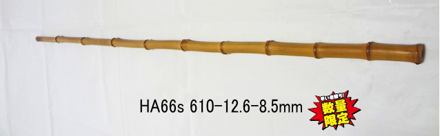 小節淡竹ha66s.jpg