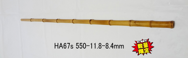 小節淡竹ha67s.jpg