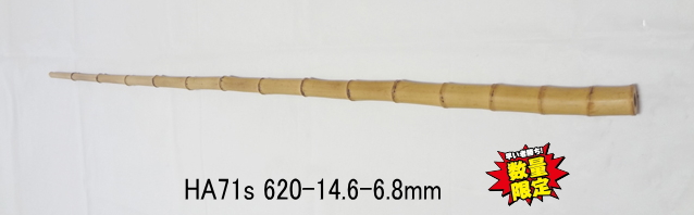 小節淡竹ha71s.jpg