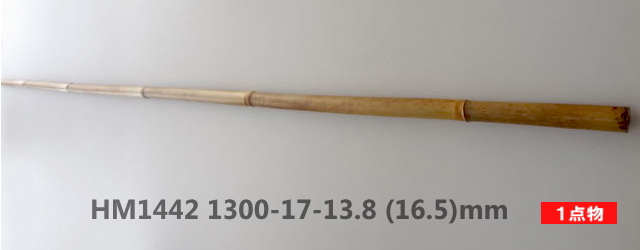 hm1442.JPG