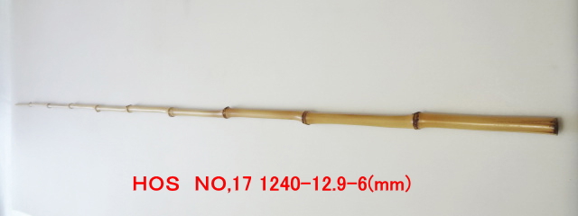 hos17.JPG