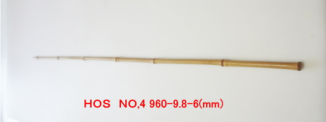 hos4.JPG