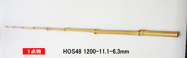 hos48.JPG