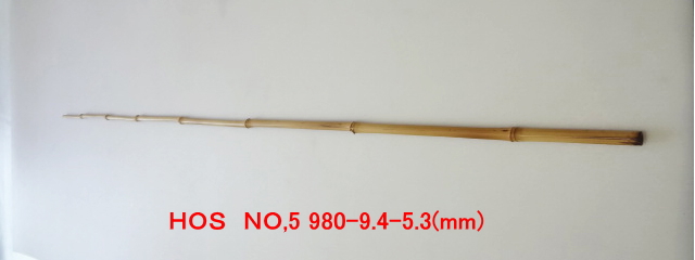 hos5.JPG