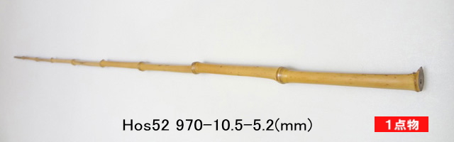 hos52.jpg