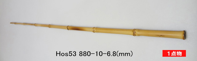 hos53.jpg