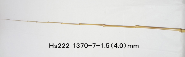 hs222.jpg