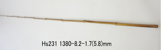 hs231.jpg