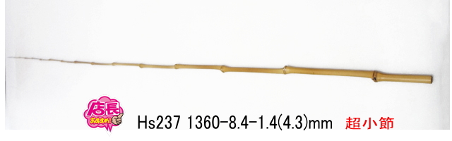 hs237.jpg