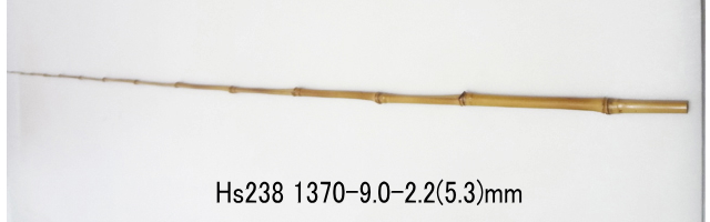 hs238.jpg