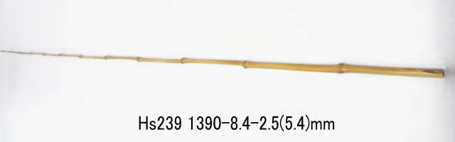 hs239.jpg