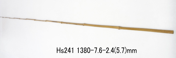 hs241.jpg
