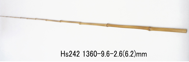hs242.jpg