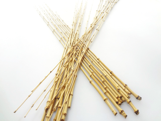 布袋竹（タナゴ、ハゼ用