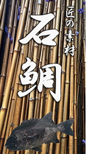 石鯛素材