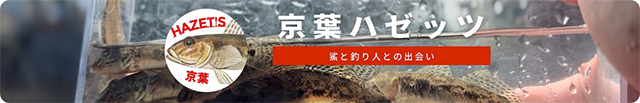 京葉ハゼッツ1