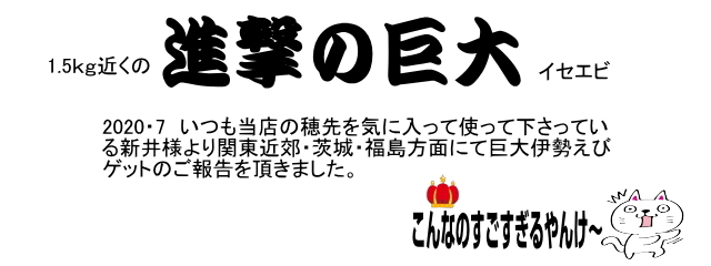 お客様の作品集|楽しい和竿作りショップ・釣具のkase