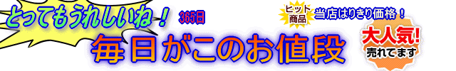 ガイド