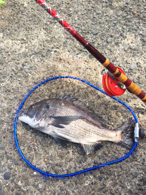 楽しい和竿作り釣具のkaaseお客様の作品