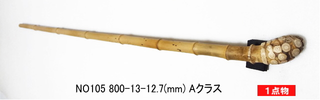 sha105.JPG
