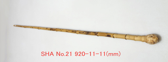 sha21.JPG