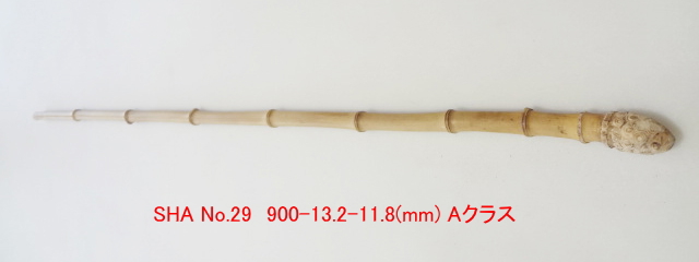 sha29.JPG