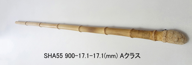 sha55.JPG
