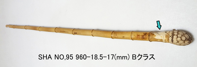 sha95.JPG