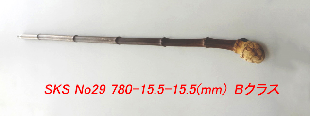 sks29.JPG