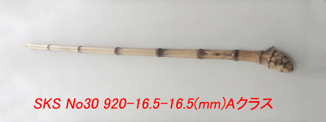 sks30.JPG