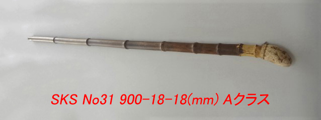 sks31.JPG