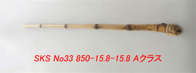 sks33.JPG