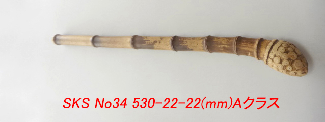 sks34.JPG