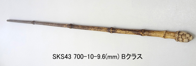 sks43.JPG
