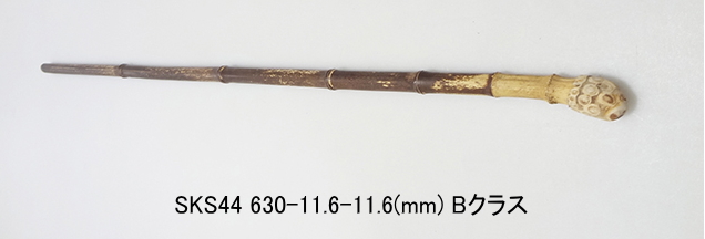 sks44.JPG