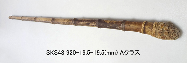 sks48.JPG