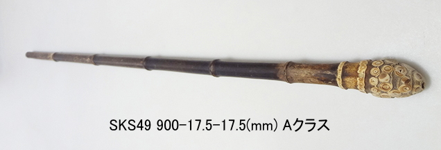 sks49.JPG