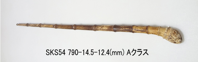 sks54.JPG