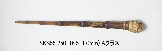 sks55.JPG