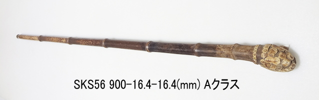sks56.JPG