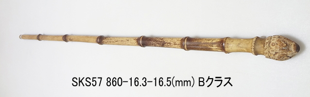 sks57.JPG