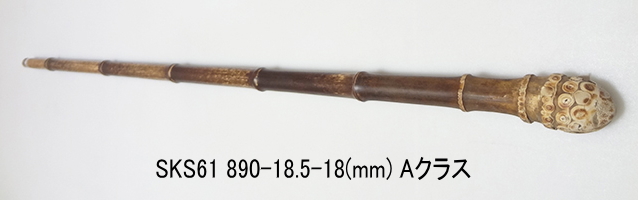sks61.JPG
