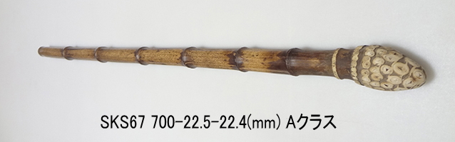 sks67.JPG