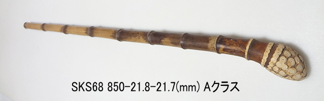 sks68.JPG